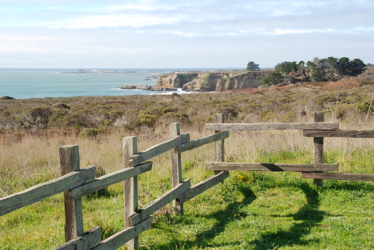 Año Nuevo State Park