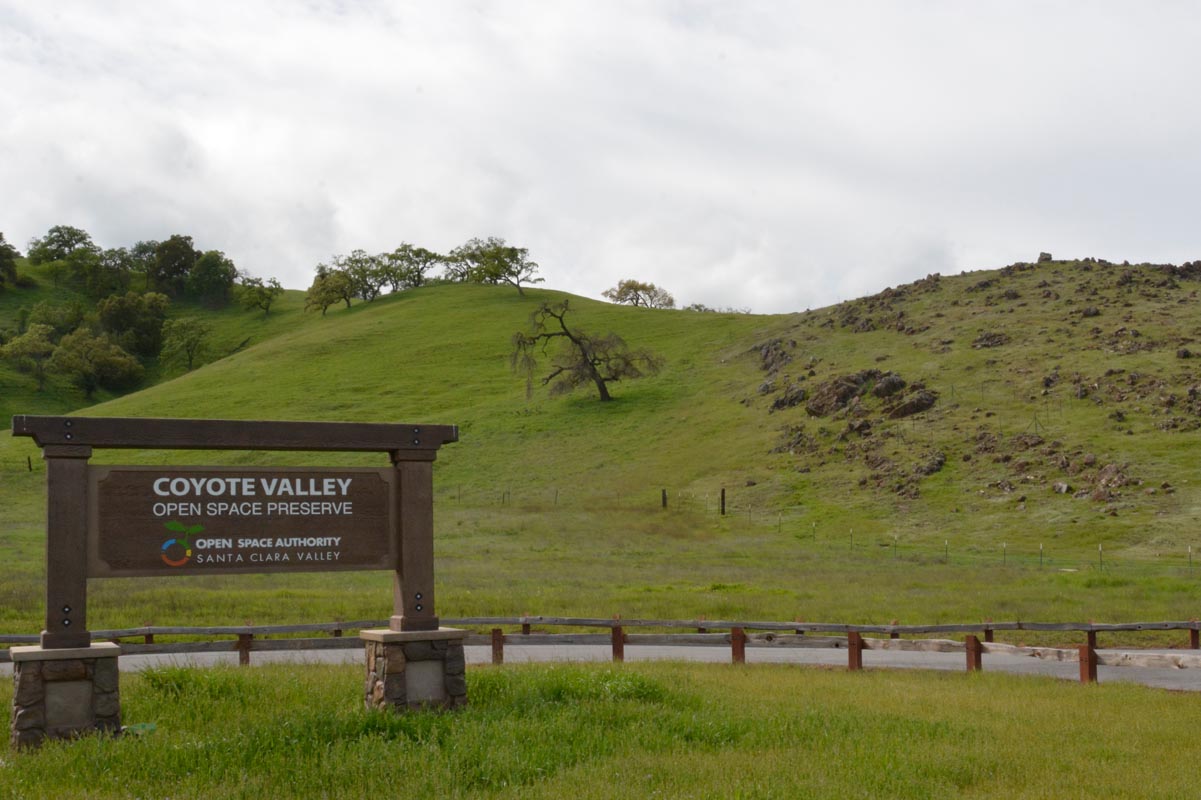 Coyote Valley Open Space Preserve