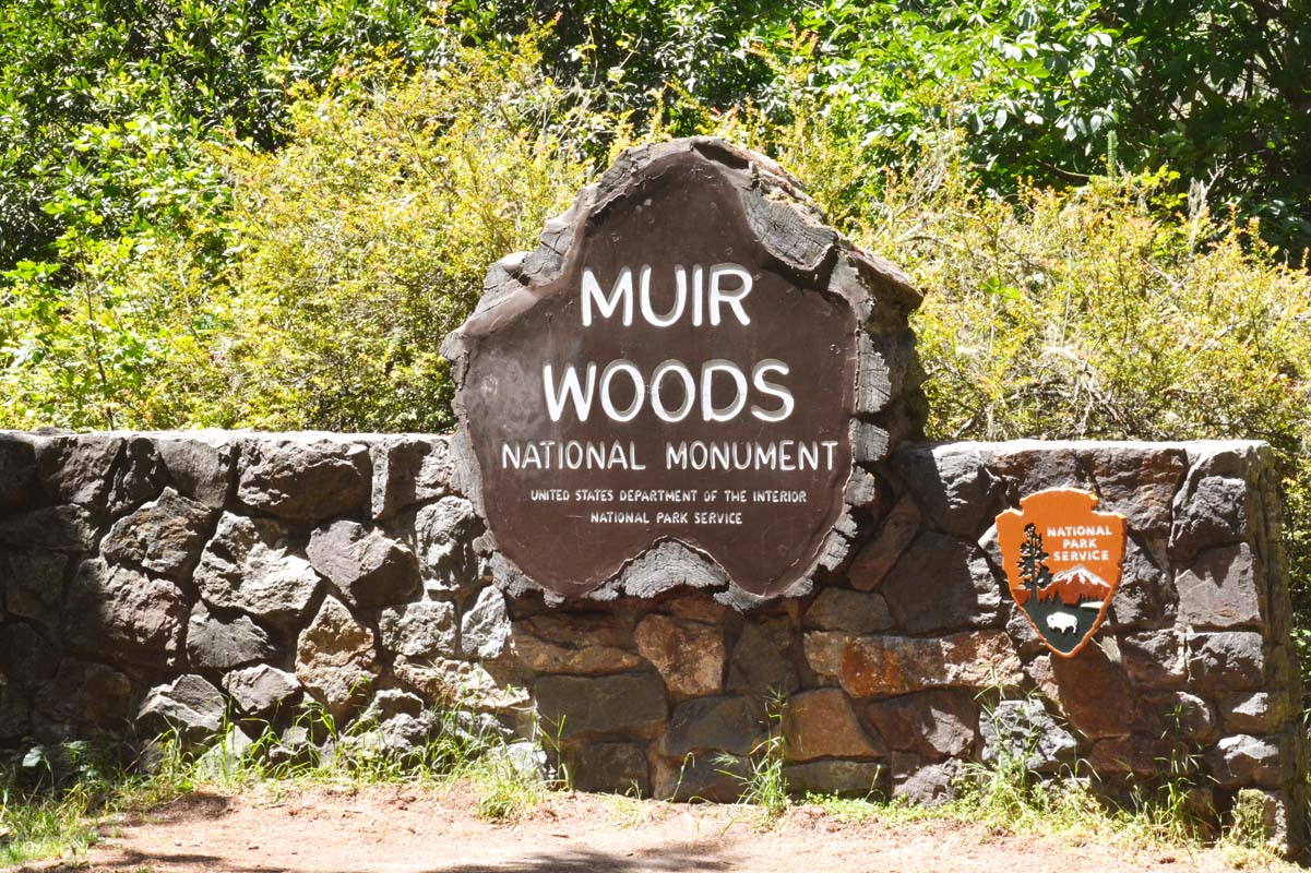 Muir Woods