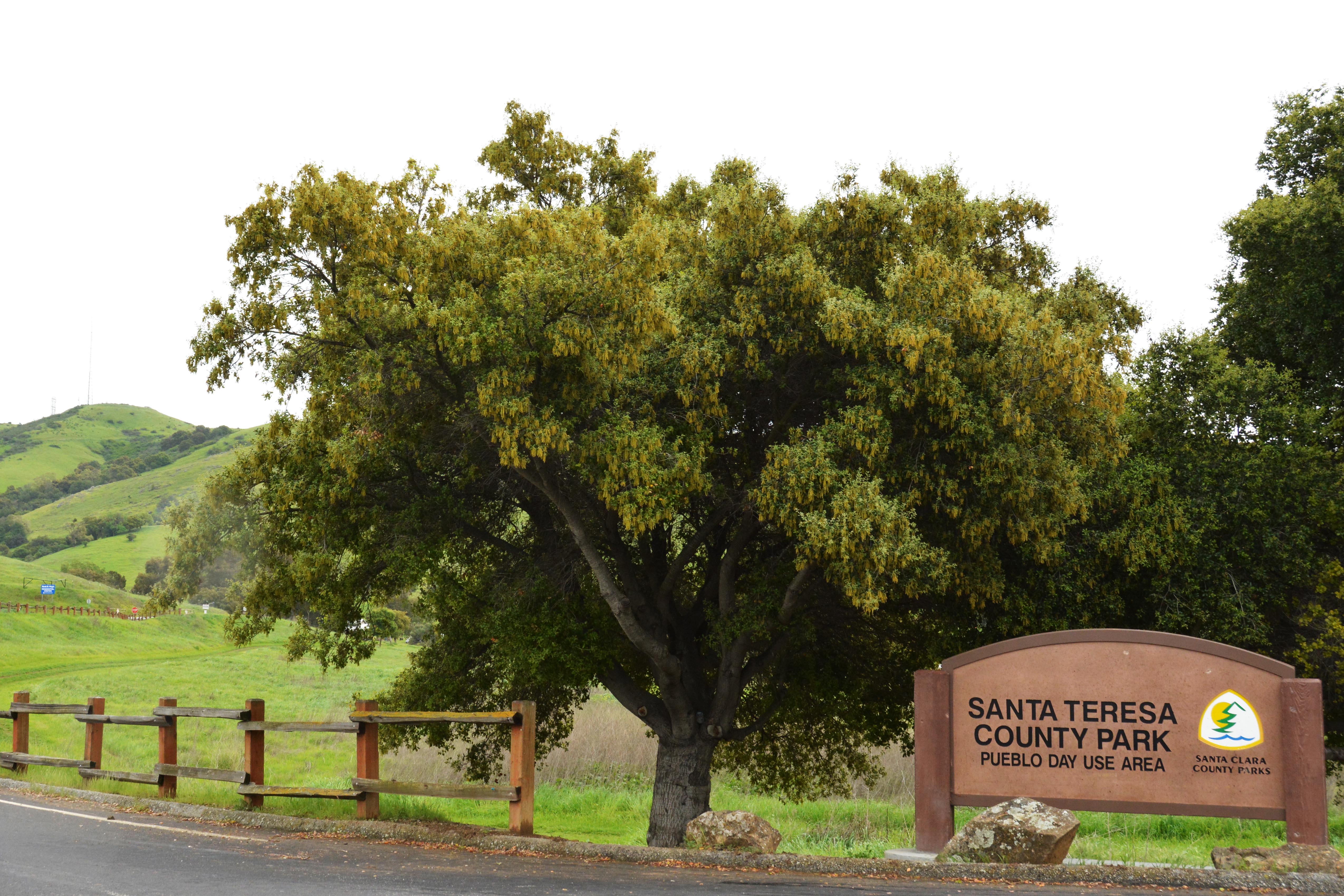 Santa Teresa County Park