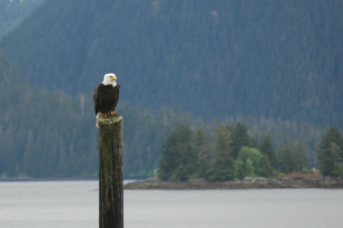 00007-007-DSC_0085-1099