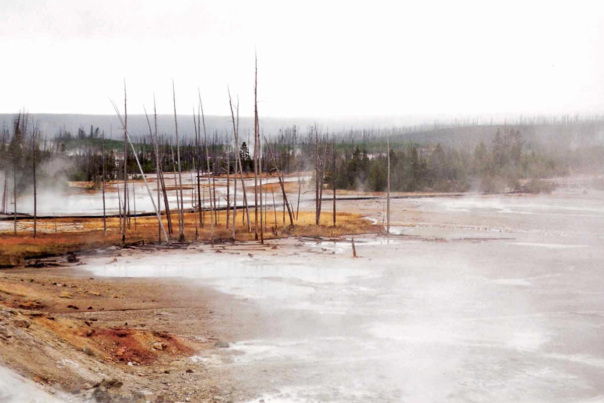 00005-005-SCAN0628